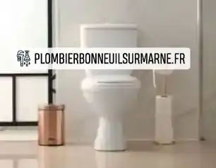 Remplacement de wc Bonneuil-sur-Marne